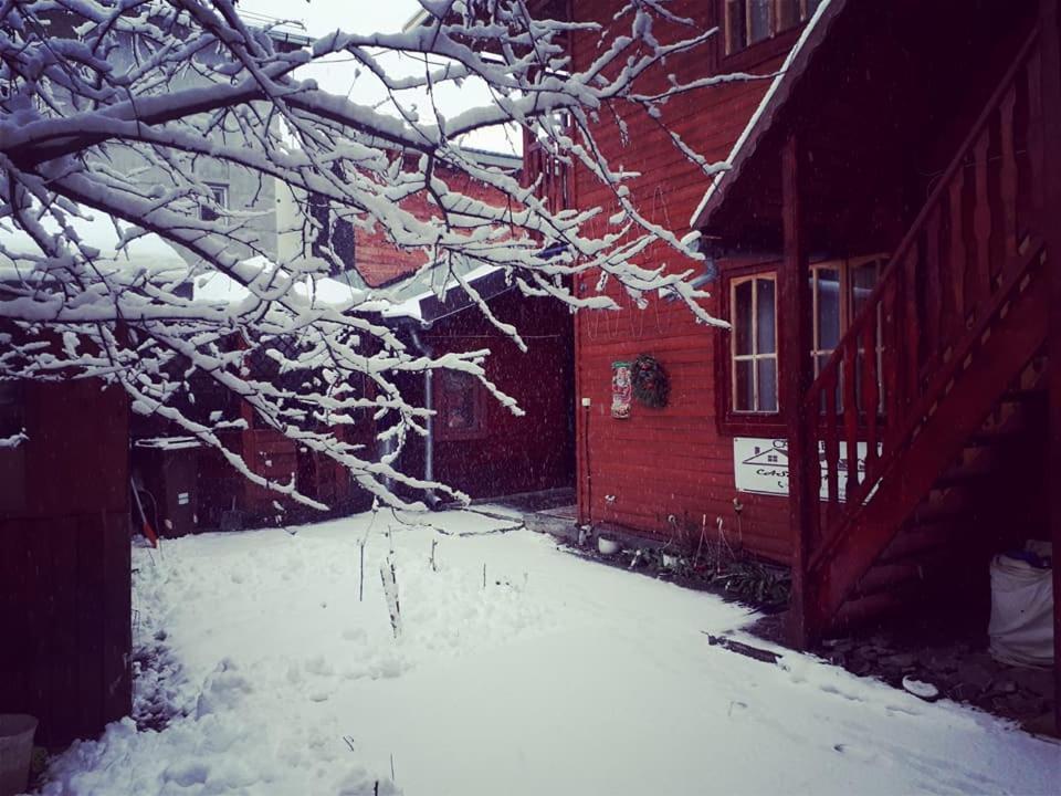 Отель Casa Lav Синая Экстерьер фото